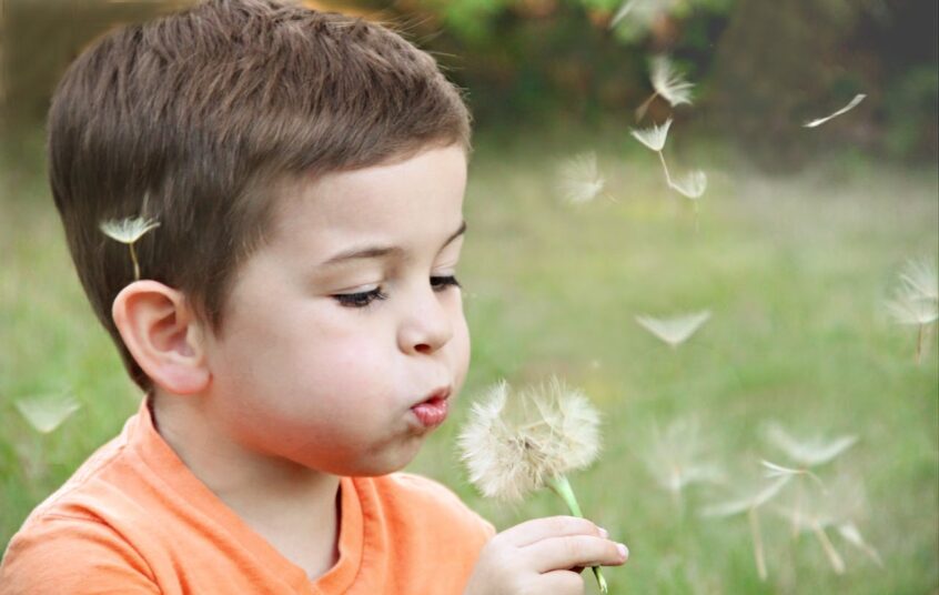 Boy wearing orange shirt blowing on dandelion